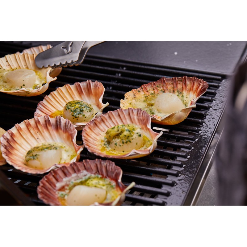 plancha de hierro fundido