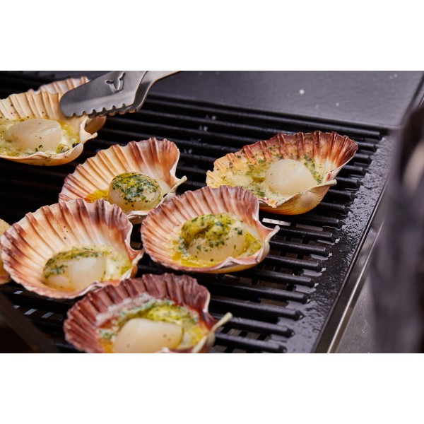 plancha de hierro fundido