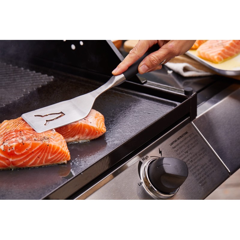 plancha de hierro fundido