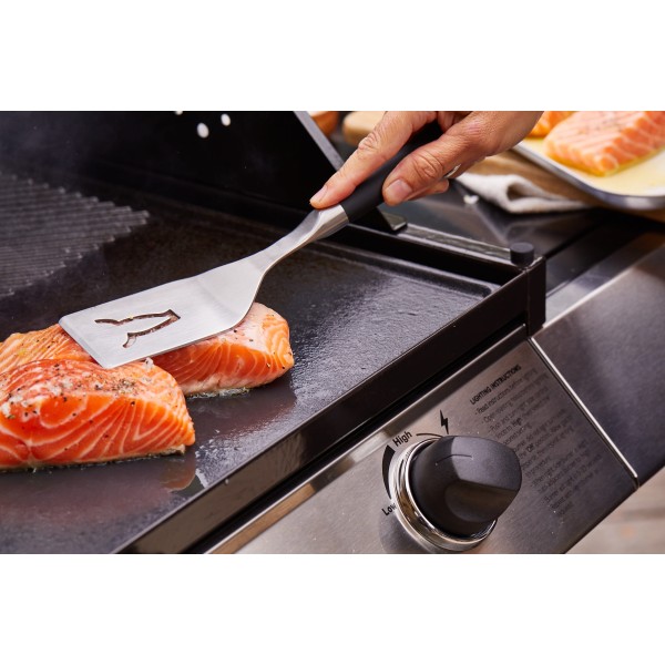 plancha de hierro fundido