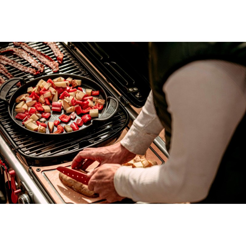 Weber Traveler Stealth