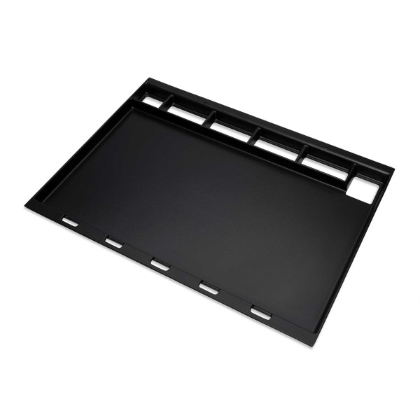 plancha de hierro fundido