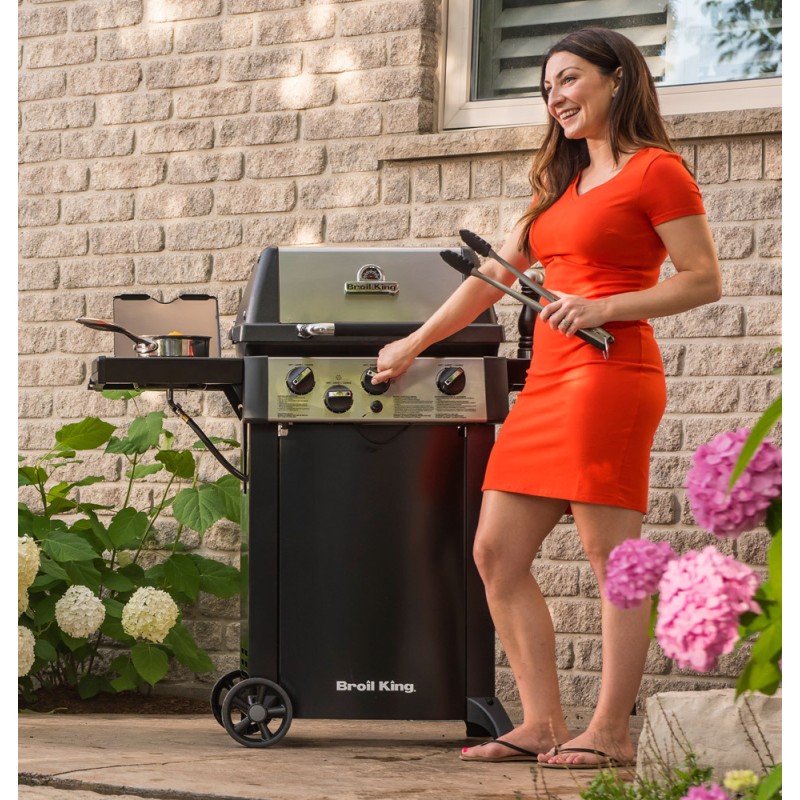 barbacoa pequeña de gas