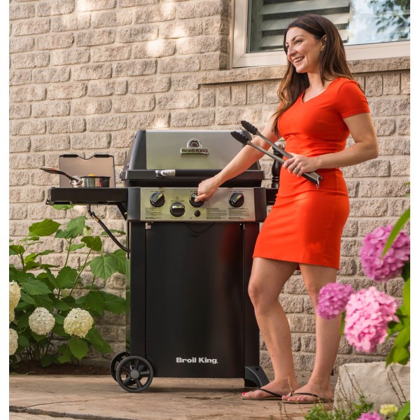 barbacoa pequeña de gas
