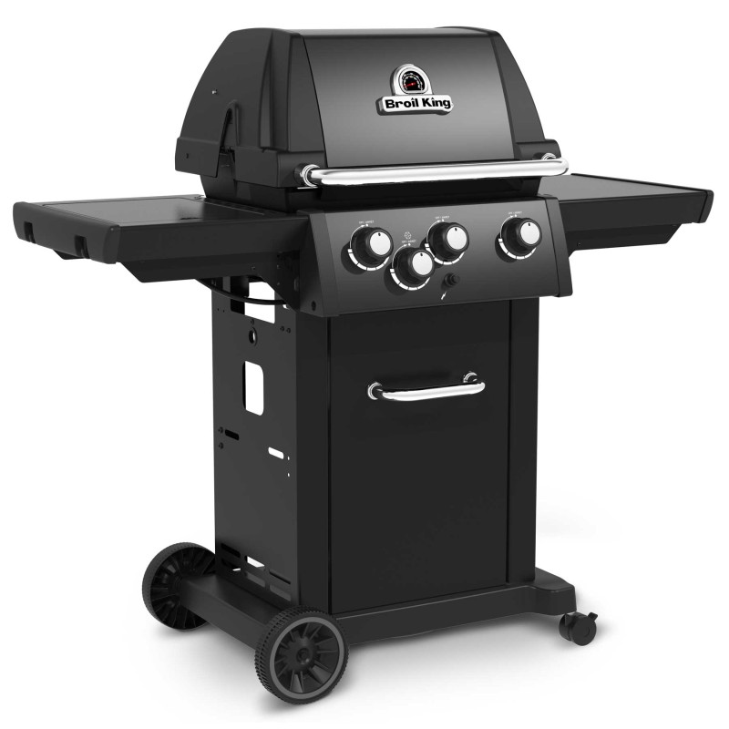 barbacoa de gas