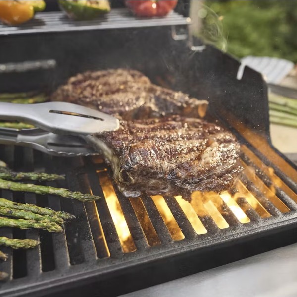 Weber Spirit E-210 Negra