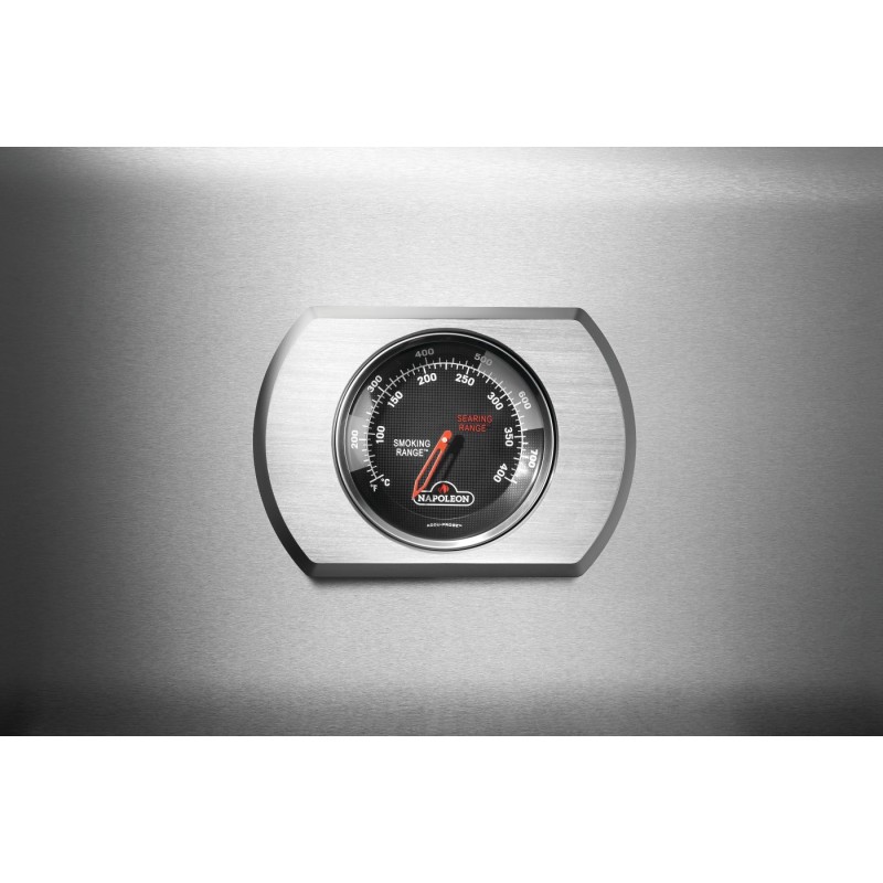 Napoleon Prestige 500 Connected RSIB