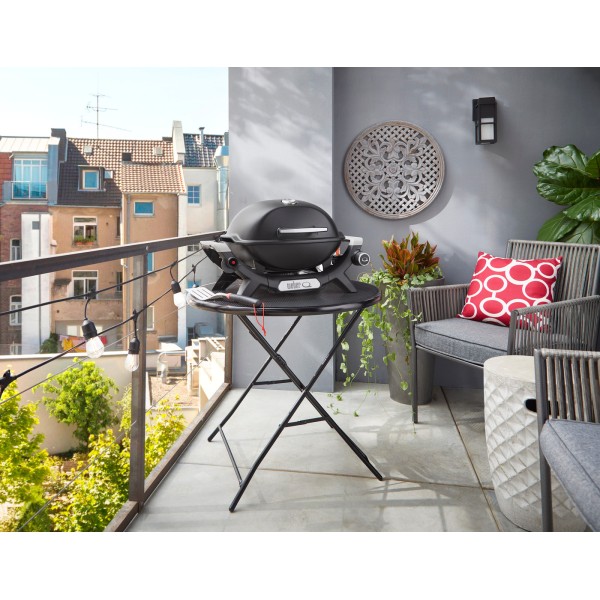 Barbacoa Weber Q 1100N