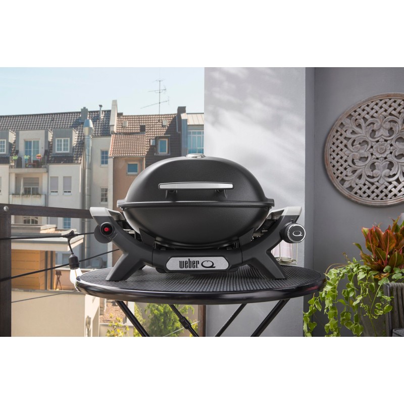 Barbacoa Weber Q 1100N