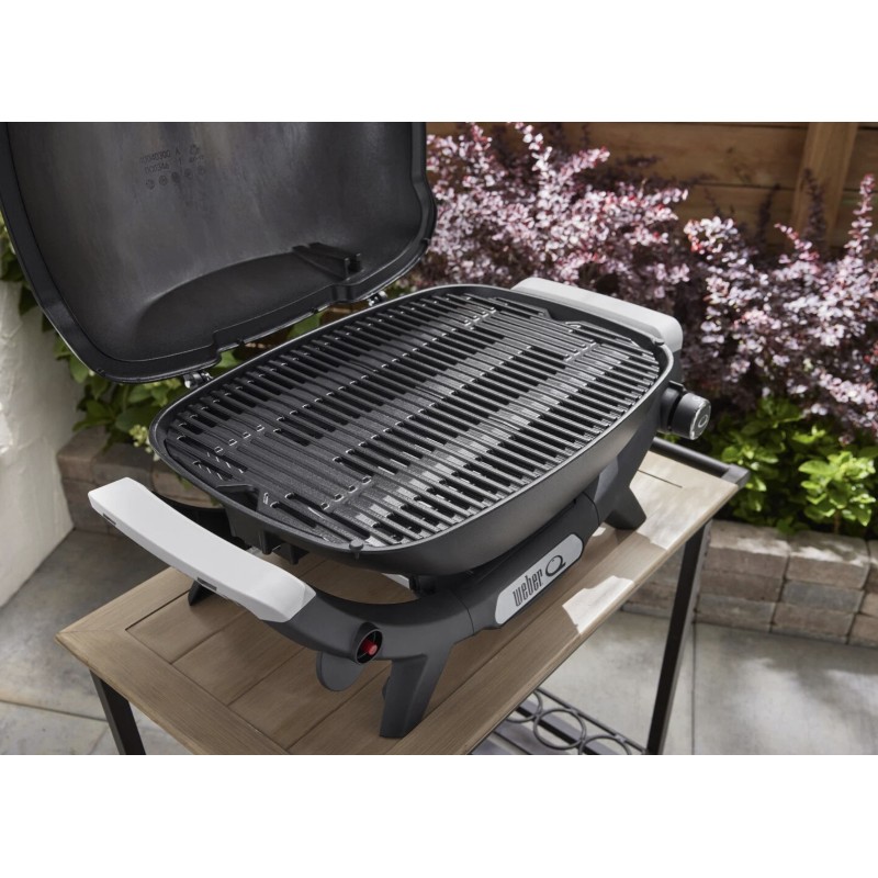 Barbacoa Weber Q 1100N