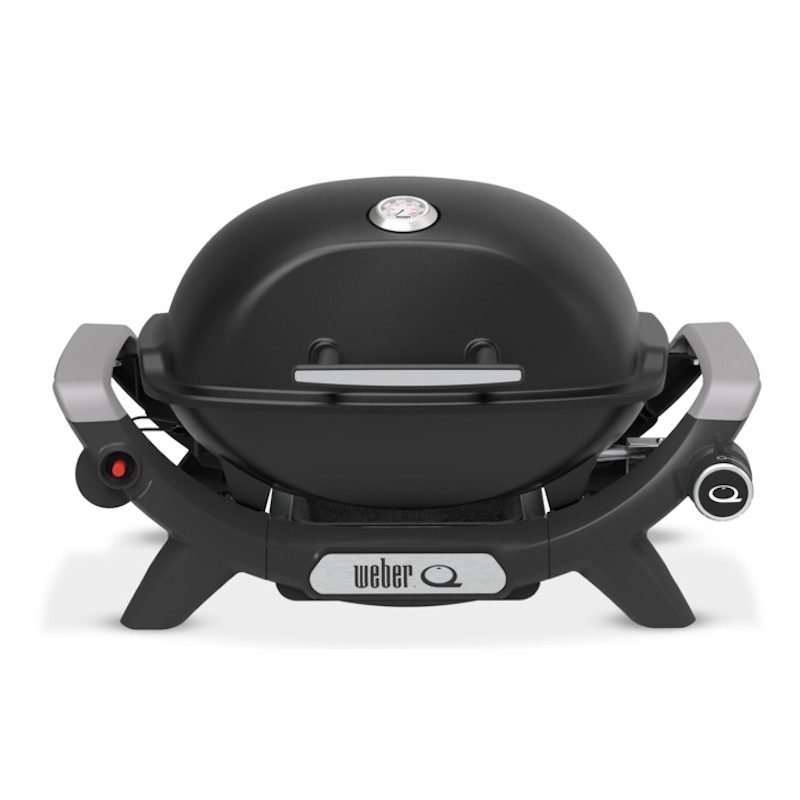 Barbacoa Weber Q 1100N