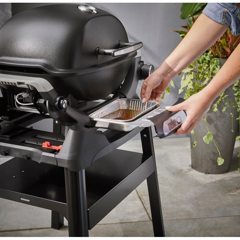 Barbacoa Weber Q 1200N con Stand
