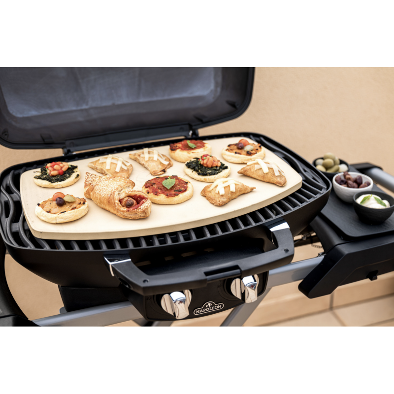 Piedra de Pizza para Napoleon TravelQ