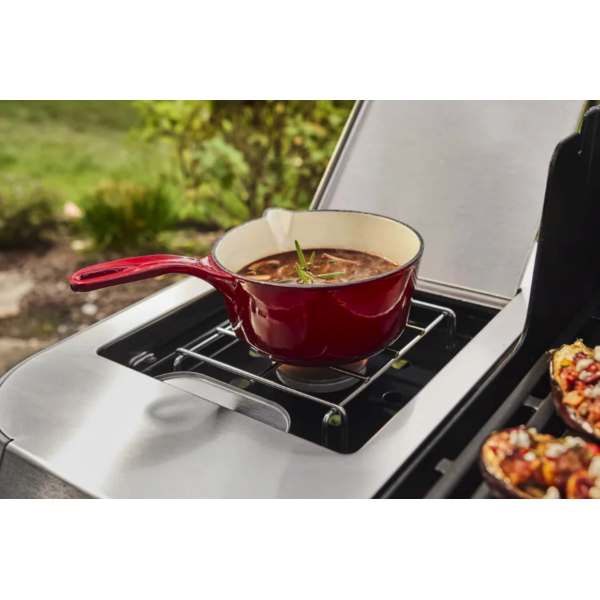 Weber Genesis E-335 Weber Works