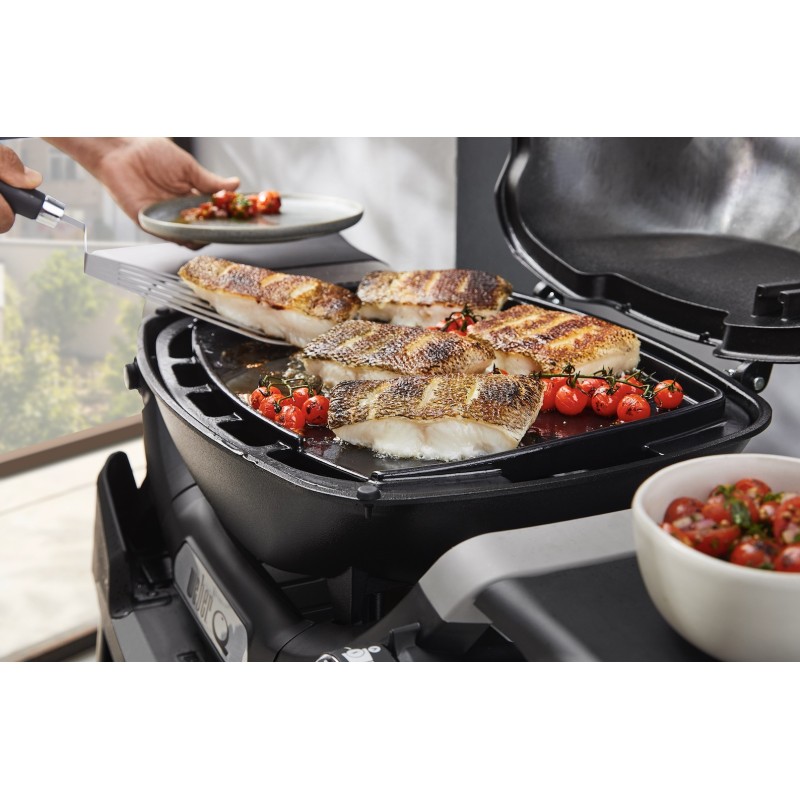 Plancha Integral para Weber Serie Q1000N