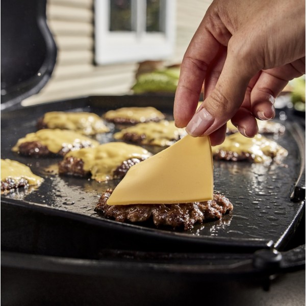 Plancha Integral para Weber Serie Q2000N