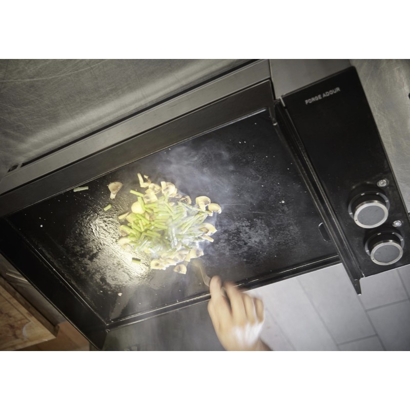 Plancha Eléctrica Premium E60 I