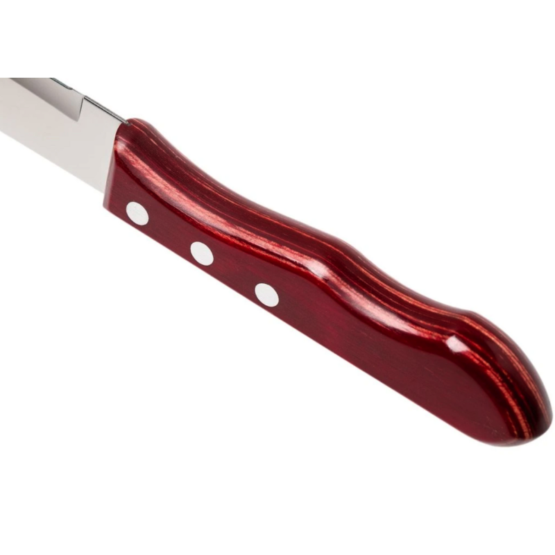 Juego 6 Cuchillos Jumbo para Barbacoa Tramontina