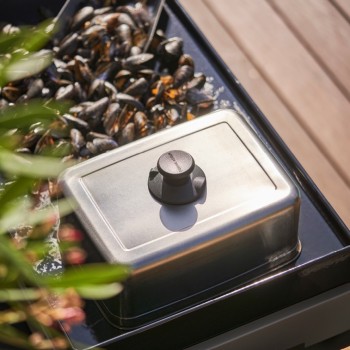 Campana Y Grill En Titanio Forge Adour 2