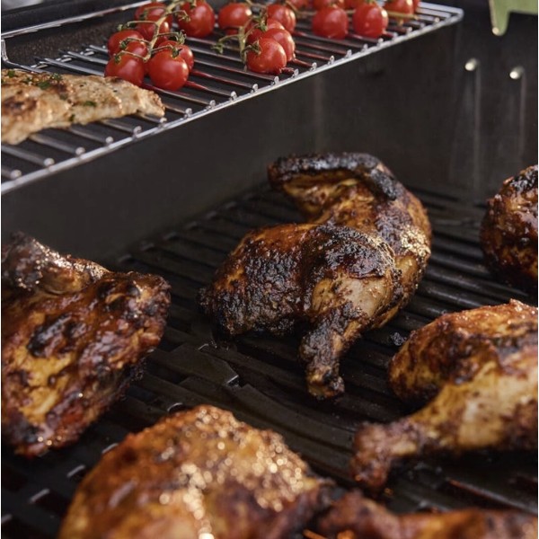 Weber Genesis E-315W