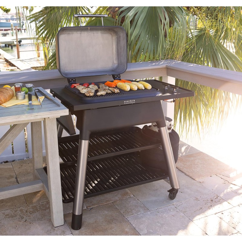 Barbacoa de Gas Force Negro Everdure