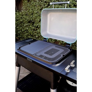 Plancha Reversible para Force Everdure 2