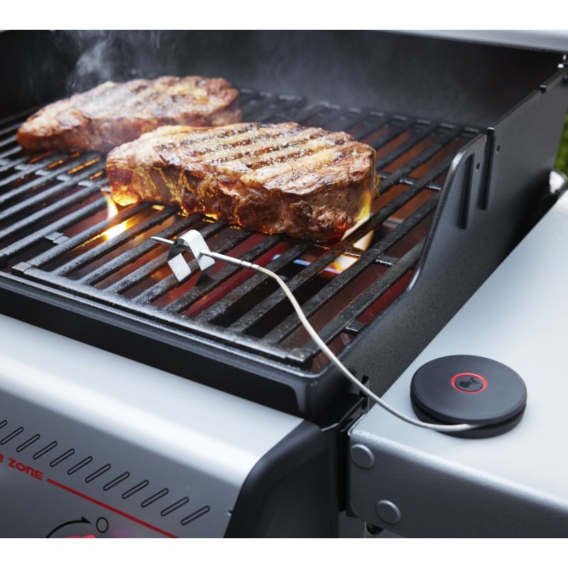 Sonda Inteligente con Sensor de Parrilla Weber