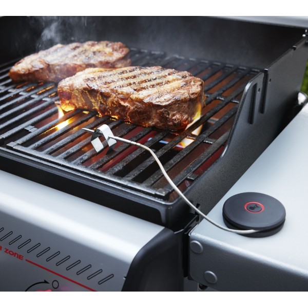 Sonda Inteligente con Sensor de Parrilla Weber