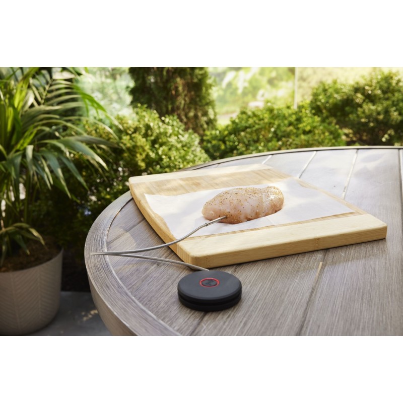 Sonda Inteligente con Sensor de Parrilla Weber