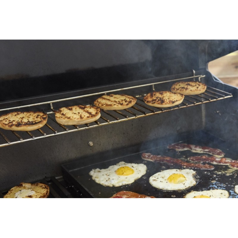 Weber Genesis EX-325W