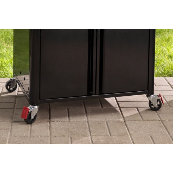 Weber Genesis EX-325W