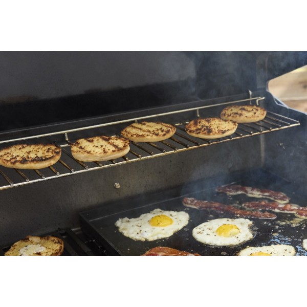 Weber Genesis EX-425W