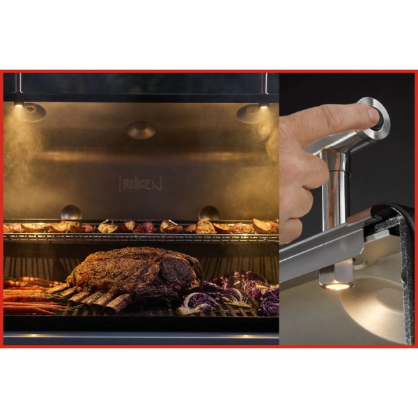 Weber Genesis EPX-335W