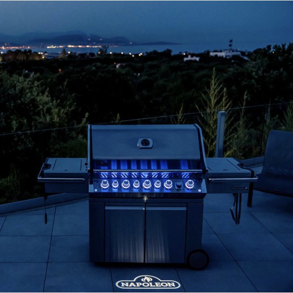 Napoleon Prestige Pro 665 Inox. Gas Natural