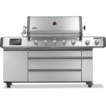 Napoleon Prestige PRO 665V Connected