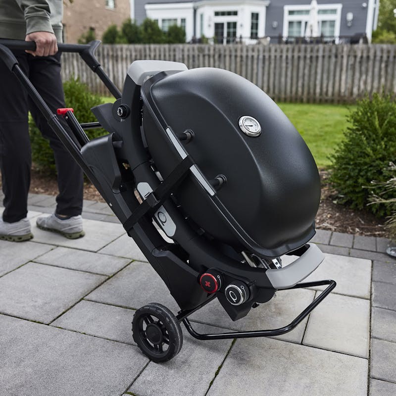 Carro Portátil para Weber Q