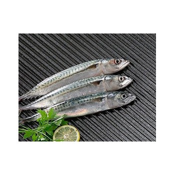 Plancha Hierro Fundido Redonda El Cid 65 cm 2