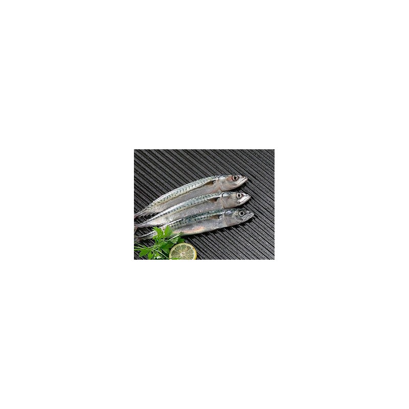 Plancha Hierro Fundido Redonda El Cid 65 cm
