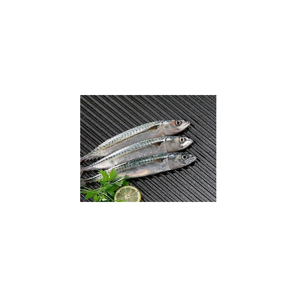 Plancha Hierro Fundido Redonda El Cid 65 cm