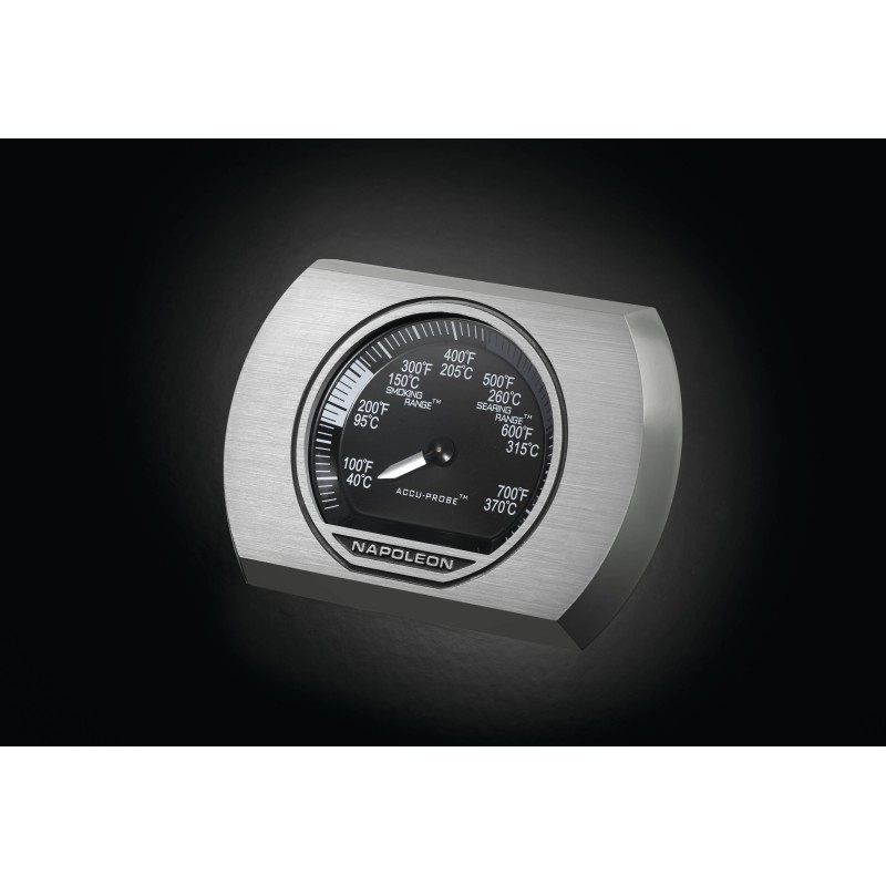 Napoleon Rogue XT 425 Negra con Quemador Lateral Infrarrojo