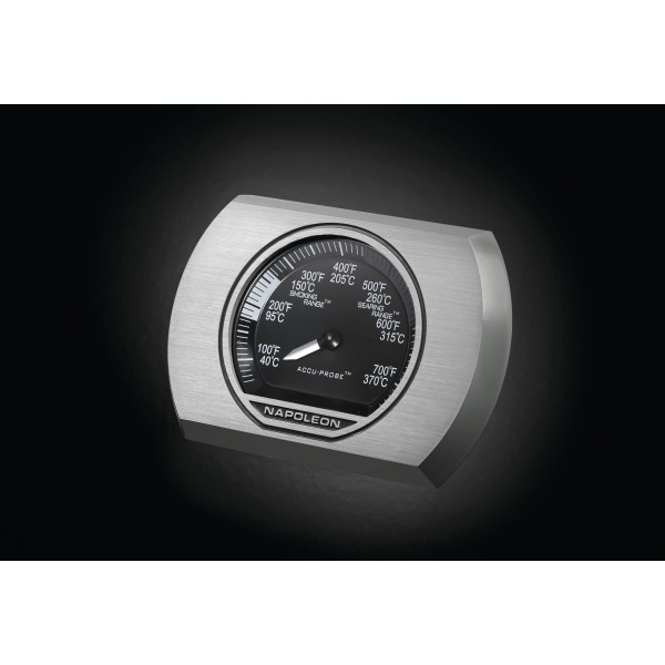 Napoleon Rogue XT 425 Negra con Quemador Lateral Infrarrojo