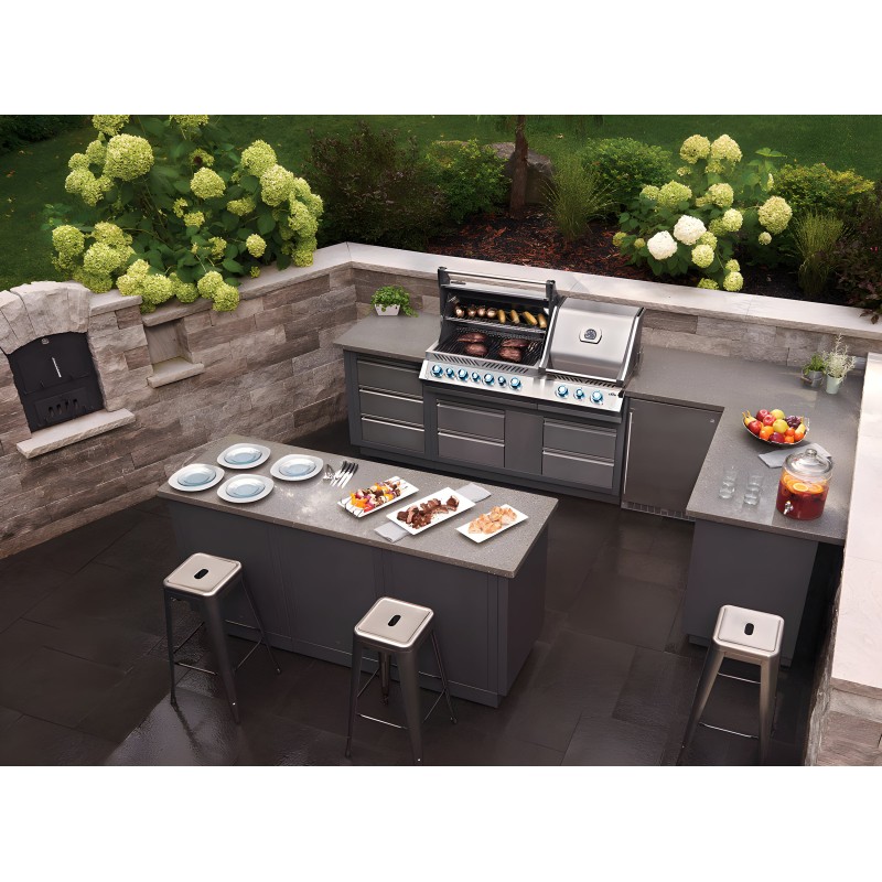 Módulo Oasis barbacoa gas Napoleon Prestige Pro 500