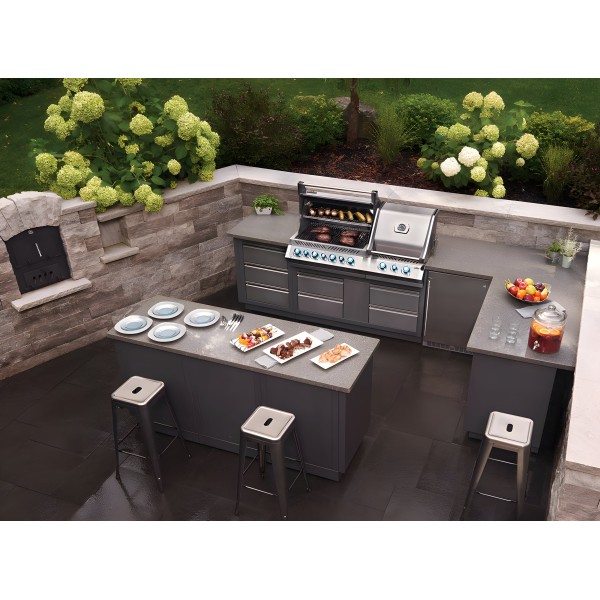 Módulo Oasis barbacoa gas Napoleon Prestige Pro 500