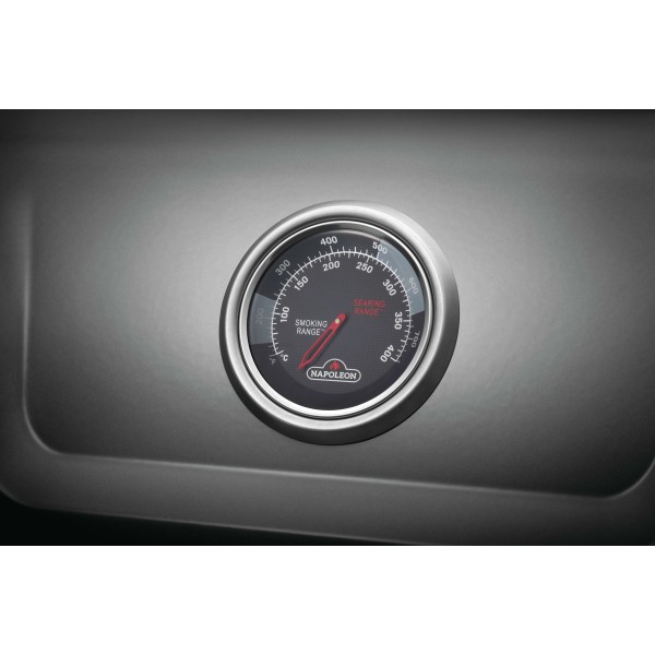 termómetro incorporado en la tapa