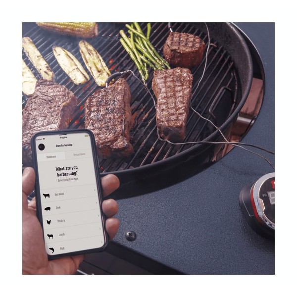 Termómetro Weber IGrill 2