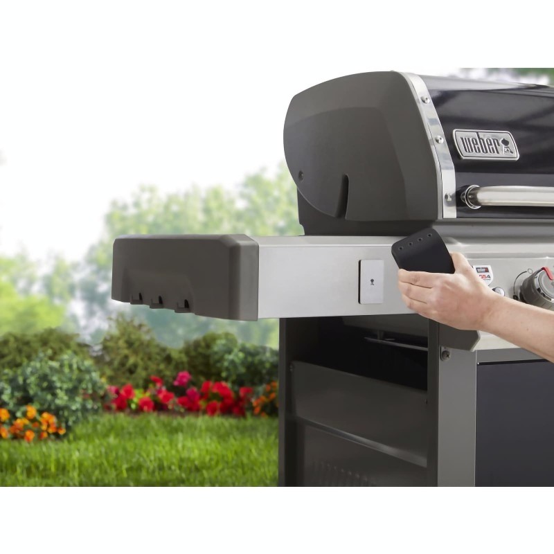 Soporte para WEBER CONNECT
