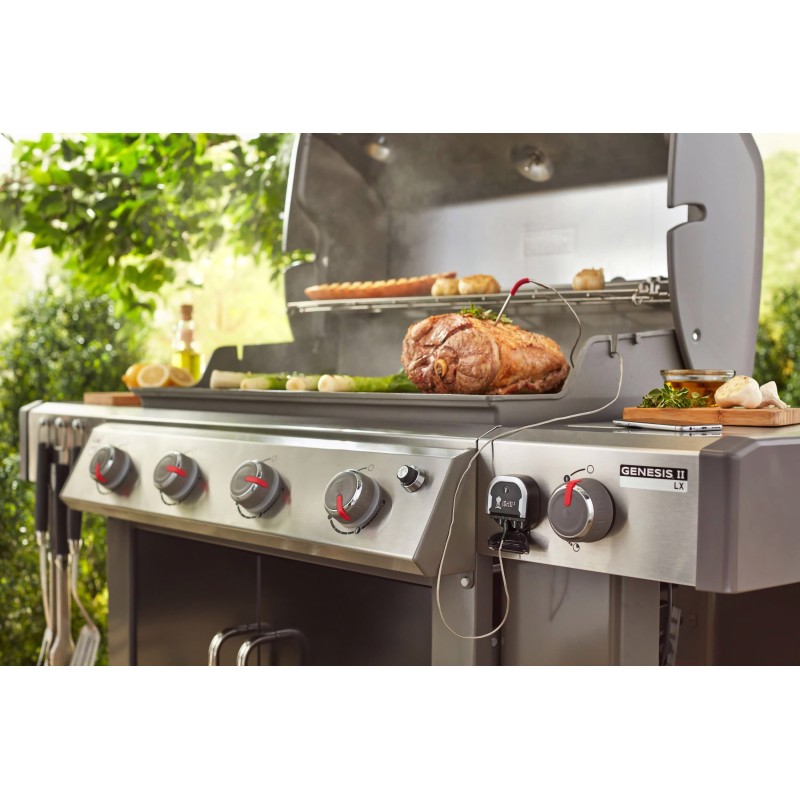 barbacoa genesis II
