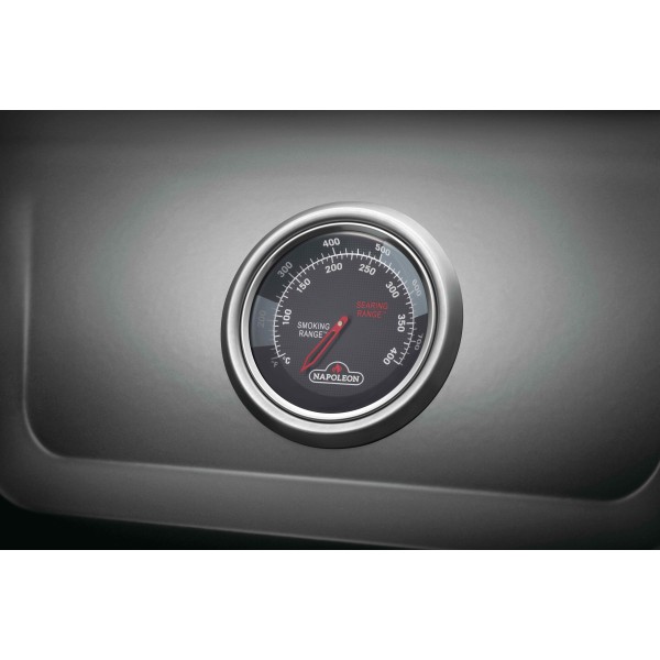 termómetro incorporado en la tapa