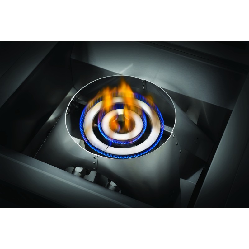 Quemador de Gas Serie 700 12 kW