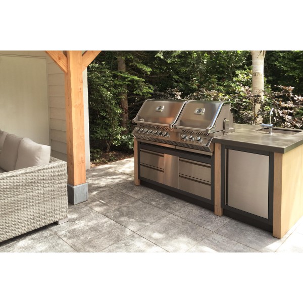 Módulo Oasis barbacoa gas Napoleon serie 700 44 RB